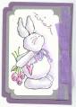 2006/06/19/Wishful_Bunny_by_pugs99.jpg