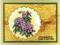 2008/02/18/rhodie_thank_you_ann_clack_by_stamps_amp_cars.jpg