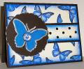 2008/06/28/IC134_mms_butterfly_blues_by_lacyquilter.jpg