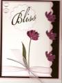 Bliss-card