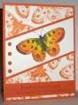 2009/04/25/GKAPRILCK_mms_double_butterfly_by_lacyquilter.jpg
