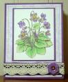 2009/12/07/violets_floral_finesse_2_by_CamD.JPG