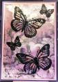 2013/05/29/Purple_and_Pink_Vibrant_Butterfly_Card_with_wm_by_lnelson74.jpg