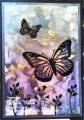 2013/05/29/Purple_with_Silhouettes_Vibrant_Butterfly_Card_with_wm_by_lnelson74.jpg