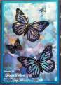 2013/05/29/Turquoise_and_Purple_Vibrant_Butterfly_Card_with_wm_by_lnelson74.jpg