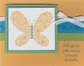 2006/07/20/Butterfly_Apricot_by_Donna3d.jpg