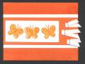 2005/05/24/TLC13_Orange_Butterfly.jpg