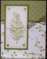2006/11/05/Peaceful_Wishes_2_-_KF_by_stampin3.JPG