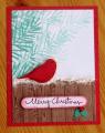 2014/10/26/dw_Christmas_Bird_on_Fence_by_deb_loves_stamping.JPG