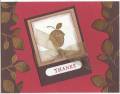 2007/10/21/All_Through_the_Year_Acorn_Leaves_Gold_Embossing_by_disneydeb25.jpg