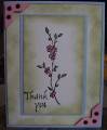 2007/11/01/blue_pink_green_thank_you_card_by_mommyoftwo.JPG