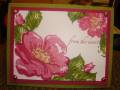 2008/03/24/Rose_Card_by_conductorchik.JPG