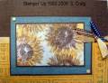 2006/08/09/Buckaroo_Blue_and_Sunflowers_Too_small_by_bensarmom.jpg
