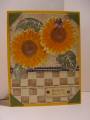 2006/08/15/sunflower_card_by_JaneCS.JPG