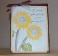 2007/12/07/sunflower_by_mamamostamps.jpg