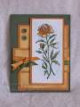 2008/04/15/Rusty_Carnations_for_blog_by_Jessrose21.jpg