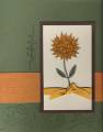 2006/08/30/artichoke_wonderful_sunflower_-_2_by_krista_stampinfun.JPG