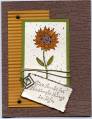 2006/10/20/Give_Thanks_-_Sunflower_by_florida_scrapper.jpg
