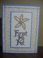 Forget-me-