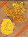 2007/10/29/Autumn_Leaf_Note_Card_scan0004_by_cottonwoodlindy.jpg