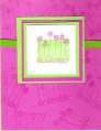 2004/11/04/6733simple_somethings_pink_green1.jpg
