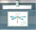 2006/06/17/Dad_dragonfly_by_Kim_Mayfield.jpg