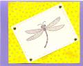 2009/05/04/Sparkling_Dragonfly_by_Muse.jpg