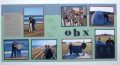 OBX_by_Chr