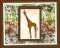 2004/09/03/11868marbled_giraffe.jpg