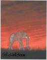 2006/03/15/Get_Well_Elephant_sunset_by_jguyeby.jpg