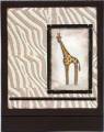 2006/05/24/In-the-Wild_giraffe_by_mlnapier.jpg