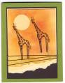 2007/05/04/Serengeti_Sunset_With_Giraffes_for_Men_by_Karen_Jo.jpg