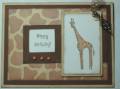 giraffe_bd