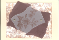 2004/11/16/12240toile_blossom.png