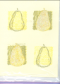 2005/02/16/25703All_Natural_Pears.png