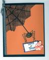2006/09/21/Trick_or_Treat_Spider_by_cindy501.jpg