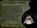 wiggleworm