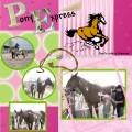 2009/06/03/pony_express_by_taca410.JPG