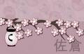 2010/03/17/CherryBlossom_front_by_Tap3x.jpg