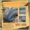 Turtle_by_