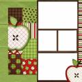2010/09/27/patchwork-apples_by_MkMiracleMakers.jpg