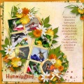 hummingbir