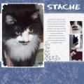 Stache_by_
