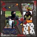 Ninjas-_Se