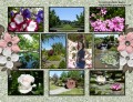 2017/05/16/Oregon_Gardens2_by_Diane_Malcor.jpg