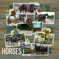 2017/09/14/Sam_s-horses_web_by_Beatrice.jpg