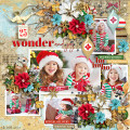 2019/11/16/HSA_wonder-and-joy-15Nov_by_Mother_Bear.jpg