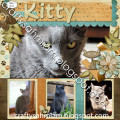 2020/01/09/CSIA_RIP_Kitty_by_heather_freeman.jpg