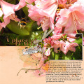 2020/05/01/12X12-PALE-PINK-RHODI---A-PLACE-OF-PEACE_by_wombat146.jpg