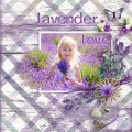 lavender-d